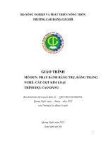 Giáo trình phay bánh răng trụ, răng thẳng (nghề cắt gọt kim loại   cao đẳng)