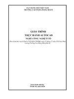 Giáo trình Thực hành Auto CAD (Nghề Công nghệ ô tô)