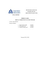 PROJECT NAME DIGITAL MARKETING PLAN FOR VINPEARL