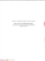 Báo cáo tài chính công ty cổ phần cơ khí xây dựng amecc 1672425454