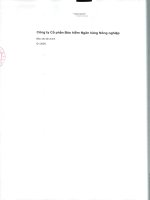 Báo cáo tài chính công ty cổ phần bảo hiểm ngân hàng nông nghiệp 1596795490
