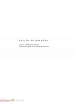 Báo cáo tài chính công ty cổ phần việt tiên sơn địa ốc 1675795103