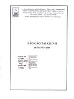 Báo cáo tài chính công ty cổ phần xuất nhập khẩu nông sản thực phẩm an giang 1596038066