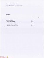 Báo cáo tài chính công ty cổ phần việt tiên sơn địa ốc1675794932