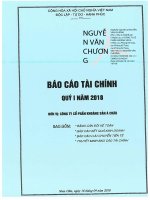 Báo cáo tài chính công ty cổ phần khoáng sản á châu 1596722697