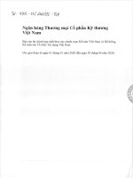 Báo cáo tài chính ngân hàng tmcp kỹ thương việt nam 1601531015