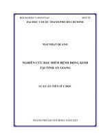 Nghiên cứu đặc điểm bệnh động kinh tại tỉnh An Giang