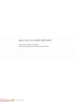 Báo cáo tài chính công ty cổ phần việt tiên sơn địa ốc1666981413