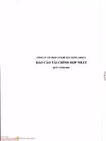 Báo cáo tài chính công ty cổ phần cơ khí xây dựng amecc1676485648