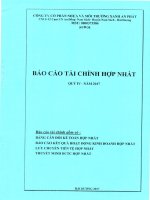 Báo cáo tài chính công ty cổ phần nhựa an phát xanh 1596761128