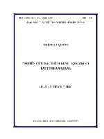 Nghiên cứu đặc điểm bệnh động kinh tại tỉnh An Giang