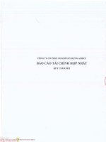 Báo cáo tài chính công ty cổ phần cơ khí xây dựng amecc 1659552869