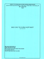 Báo cáo tài chính công ty cổ phần nhựa an phát xanh 1596761682