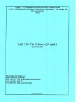 Báo cáo tài chính công ty cổ phần nhựa an phát xanh 1596761817