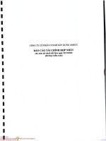 Báo cáo tài chính công ty cổ phần cơ khí xây dựng amecc 1680290330