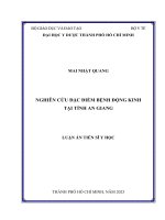 Nghiên cứu đặc điểm bệnh động kinh tại tỉnh An Giang