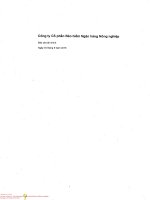 Báo cáo tài chính công ty cổ phần bảo hiểm ngân hàng nông nghiệp1596794065