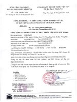 Báo cáo tài chính tổng công ty cổ phần đầu tư phát triển xây dựng 1696881076