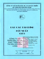 Báo cáo tài chính công ty cổ phần đầu tư và phát triển đô thị dầu khí cửu long 1596719265