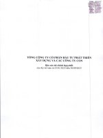 Báo cáo tài chính tổng công ty cổ phần đầu tư phát triển xây dựng 1699468630