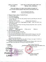 Báo cáo tài chính công ty cổ phần bv land 1666809128