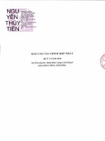 Báo cáo tài chính ngân hàng tmcp sài gòn công thương 1603698229