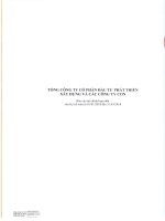 Báo cáo tài chính tổng công ty cổ phần đầu tư phát triển xây dựng 1596558284