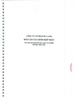 Báo cáo tài chính công ty cổ phần bv land 1621387514