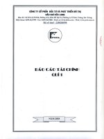 Báo cáo tài chính công ty cổ phần đầu tư và phát triển đô thị dầu khí cửu long 1596718063