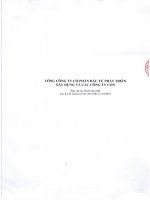 Báo cáo tài chính tổng công ty cổ phần đầu tư phát triển xây dựng1596677371