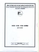 Báo cáo tài chính công ty cổ phần đầu tư và phát triển đô thị dầu khí cửu long 1596718189