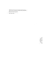 Báo cáo tài chính ngân hàng thương mại cổ phần quốc tế việt nam 1596019477
