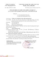 Báo cáo tài chính công ty cổ phần việt tiên sơn địa ốc1655749470