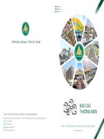 Báo cáo tài chính công ty cổ phần tập đoàn tư vấn đầu tư  xây dựng kiên giang 1696884814