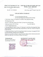 Báo cáo tài chính công ty cổ phần tập đoàn tư vấn đầu tư  xây dựng kiên giang 1691692641