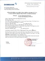 Báo cáo tài chính ngân hàng thương mại cổ phần xuất nhập khẩu việt nam 1620264014