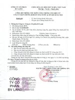 Báo cáo tài chính công ty cổ phần bv land 1647973497