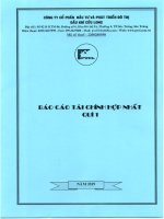 Báo cáo tài chính công ty cổ phần đầu tư và phát triển đô thị dầu khí cửu long 1596718677