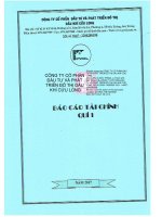 Báo cáo tài chính công ty cổ phần đầu tư và phát triển đô thị dầu khí cửu long 1596717622