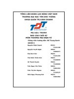 (Tiểu luận) báo cáo cuối kỳmôn thương mại điện tử  phát triển website tresemmé