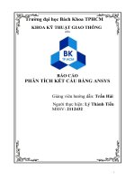 Báo cáo thí nghiệm  Phương pháp phân tích kết cấu tàu  Phân tích kết cấu bằng ansys