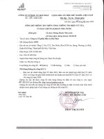 Báo cáo tài chính công ty cổ phần đầu tư hải phát 1684175378