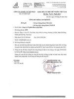 Báo cáo tài chính công ty cổ phần đầu tư hải phát 1683916748