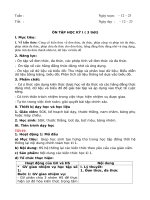 Giáo án ôn tập kì 1 Đại số 8  KNTT