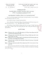 Báo cáo tài chính công ty cổ phần tập đoàn hà đô 1597203845