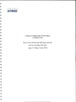 Báo cáo tài chính công ty cổ phần địa ốc first reale 1596649692