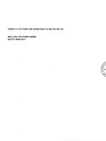 Báo cáo tài chính công ty cổ phần tập đoàn đầu tư địa ốc no va 1596596819