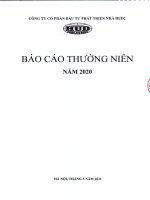 Báo cáo tài chính công ty cổ phần đầu tư phát triển nhà hud2 1615961296