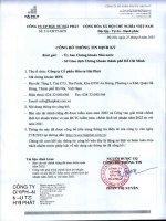 Báo cáo tài chính công ty cổ phần đầu tư hải phát 1693249226