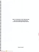 Báo cáo tài chính công ty cổ phần đầu tư phát triển nhà hud2 1647022818